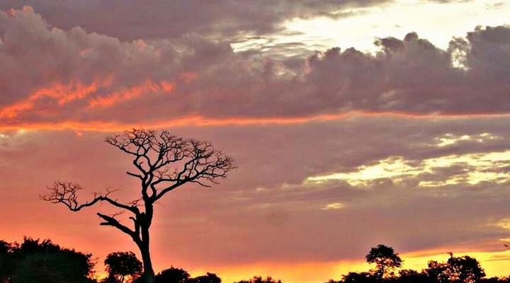 Unlimited Luxury Lodge in Kasane