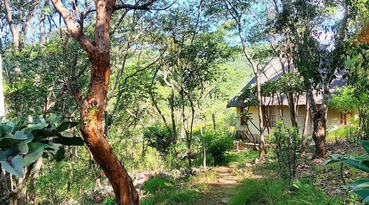 Musangano Lodge