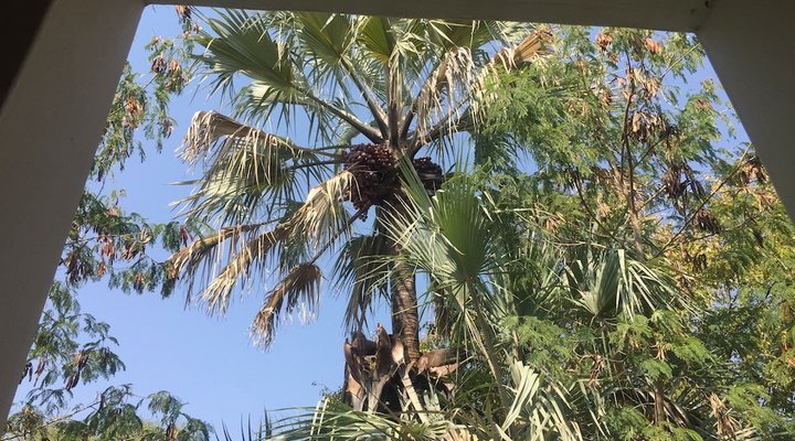 Peo Luxury Apartments