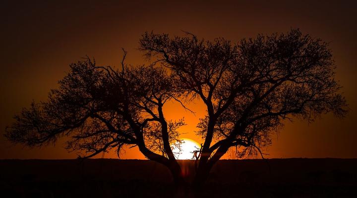 Wolwedans Private Camp