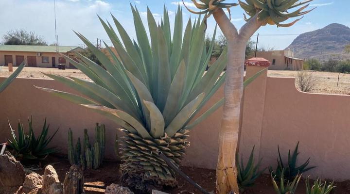 Goibib Mountain Lodge