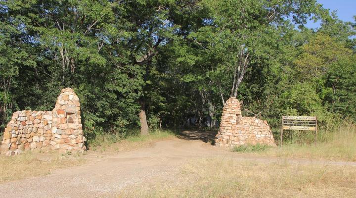 Miombo Safari Camp