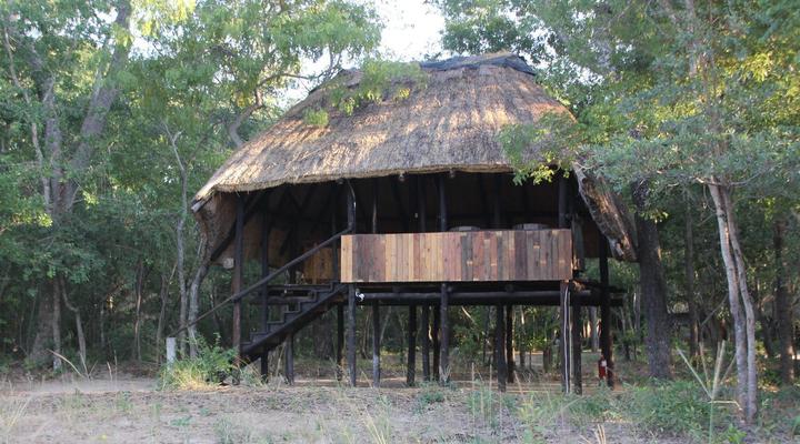 Miombo Safari Camp