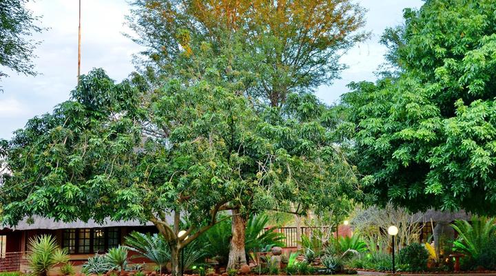 Winterfell Lephalale Lodge