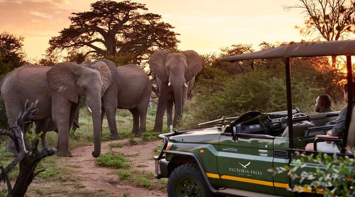 Victoria Falls River Lodge