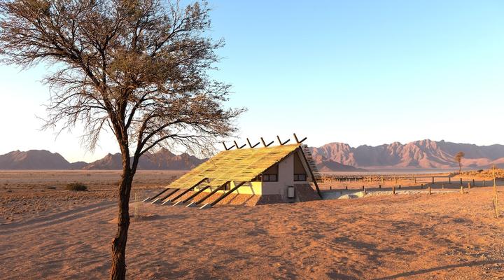 Desert Quiver Camp