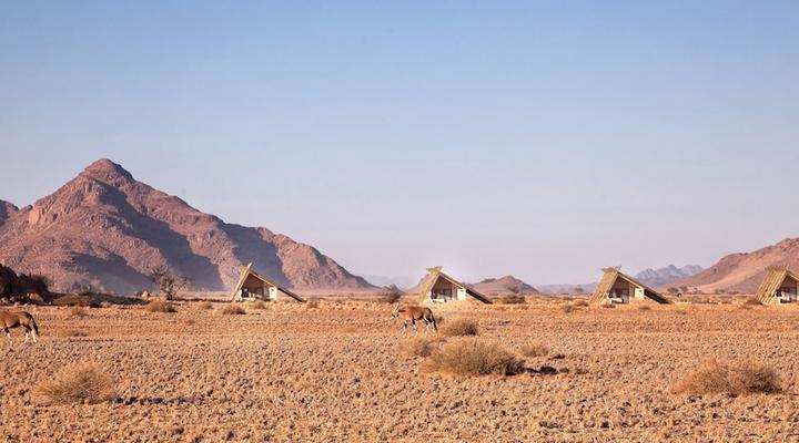 Desert Quiver Camp