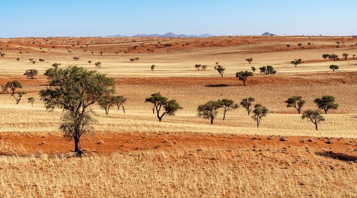 Wolwedans Dunes Lodge