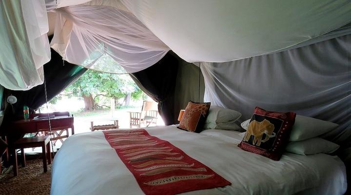 Croc Valley Camp