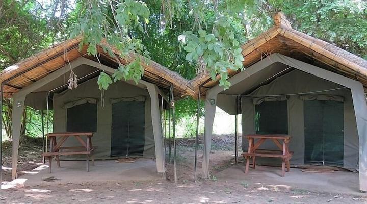 Croc Valley Camp