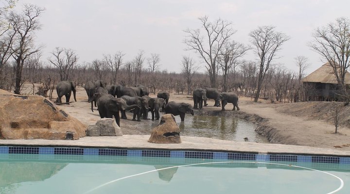 Dzibanana Lodge & Camping