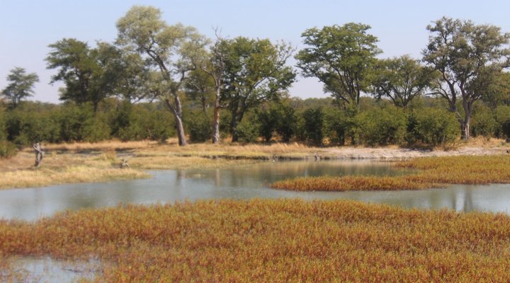 Dzibanana Lodge & Camping