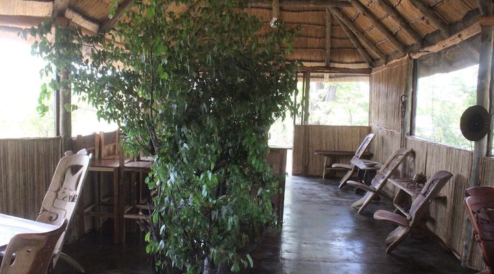 Dzibanana Lodge & Camping
