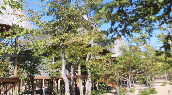 Dzibanana Lodge & Camping