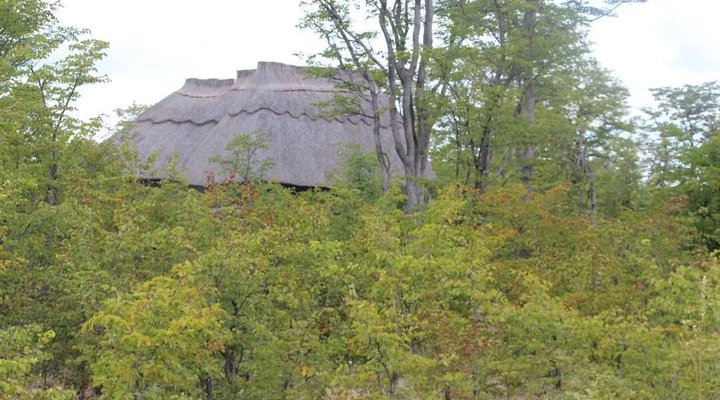 Dzibanana Lodge & Camping