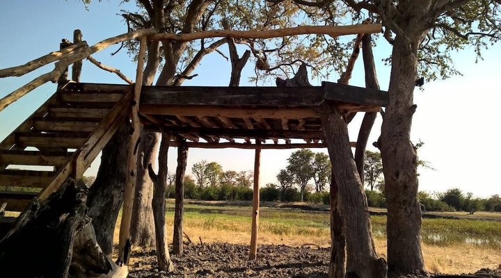 Dzibanana Lodge & Camping