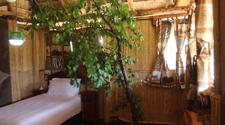 Dzibanana Lodge & Camping