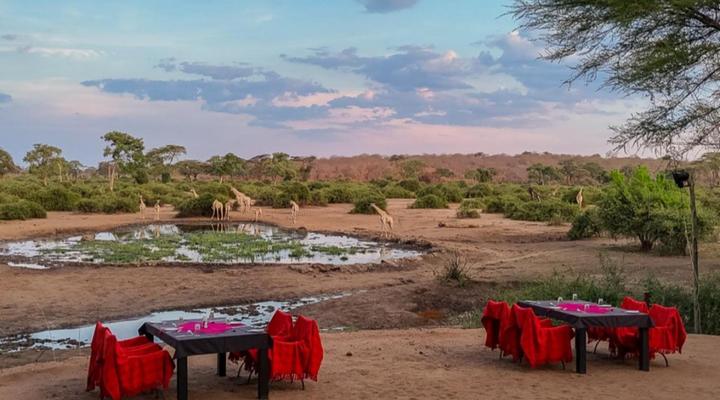 Elephant Valley Lodge