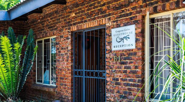 Gorgeous Gecko Guesthouse