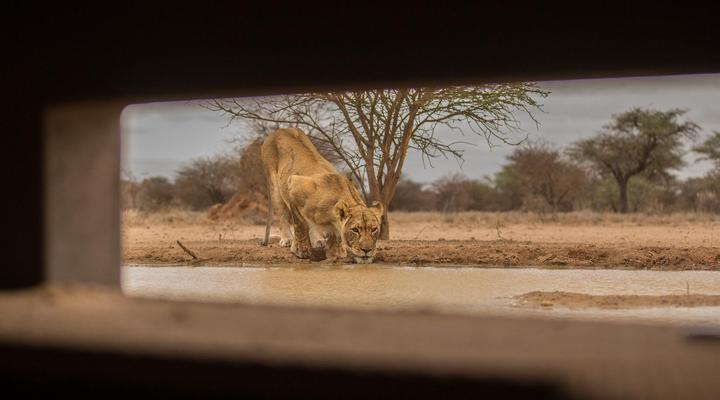 Mount Etjo Safari Lodge
