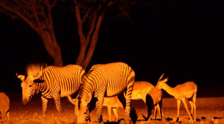 Ohange Namibia Lodge