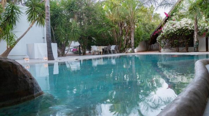 Out Of Africa Town Lodge