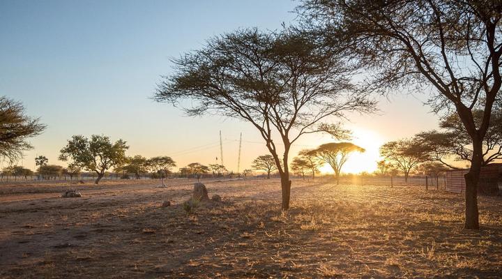 Dornhügel Guestfarm