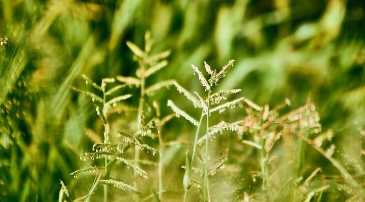 Otjimbondona Kalahari