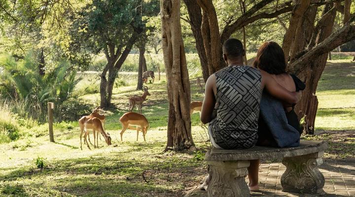 AfriCamps at Bonamanzi Game Reserve
