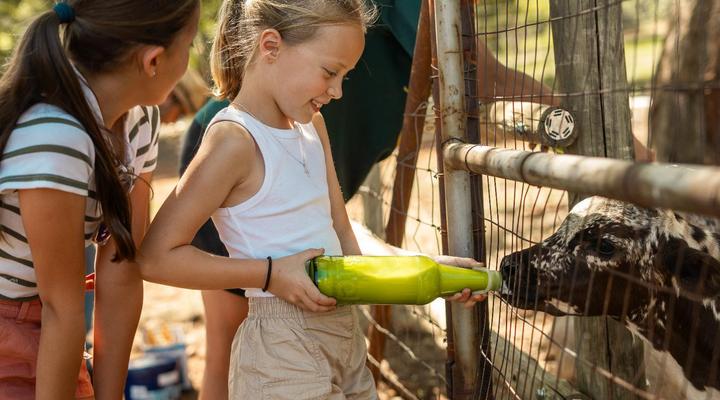 AfriCamps at Milorho