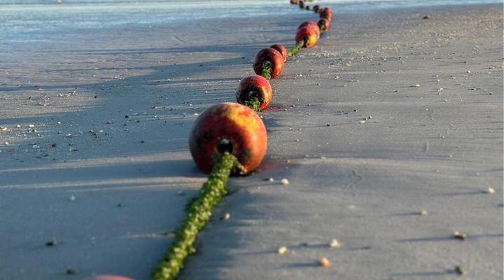 Sandra's Guest House