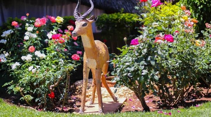 Padandaro Guest House