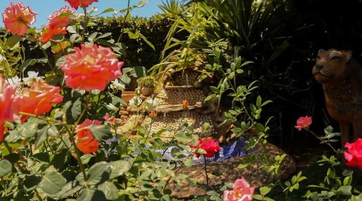 Padandaro Guest House