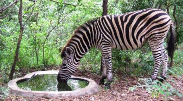 Marloth Bush Retreat