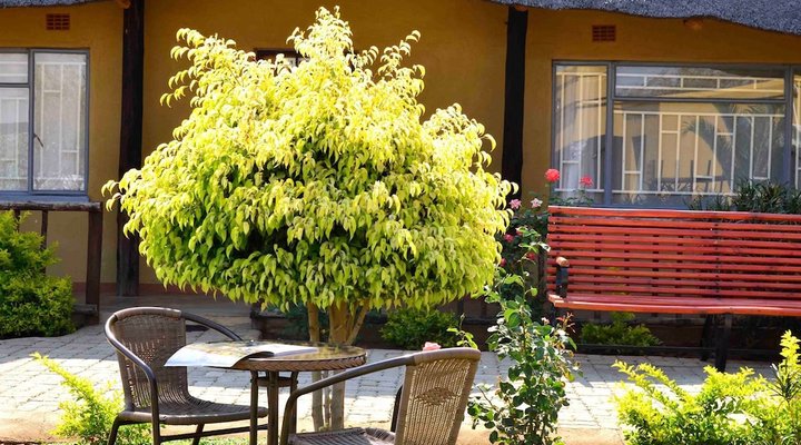 Thulamela Guest House