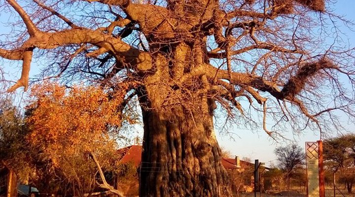 Thulamela Guest House