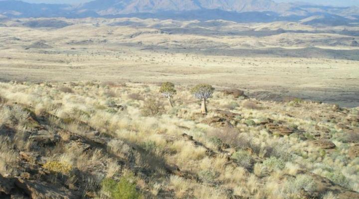 Namib's Valley Lodge