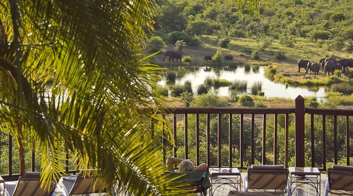 Victoria Falls Safari Lodge