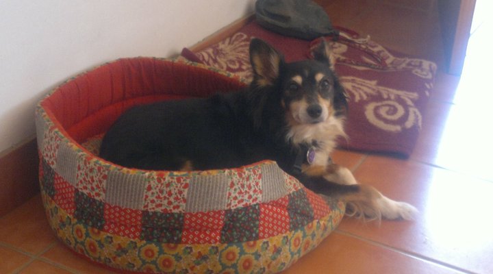 Hettie se Plekkie