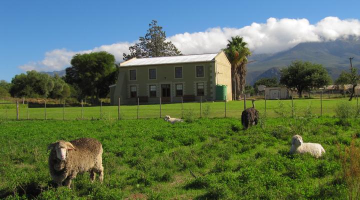 Waterkloof Guest Farm