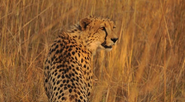 Mukambi Safari Lodge