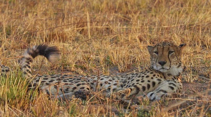 Mukambi Safari Lodge