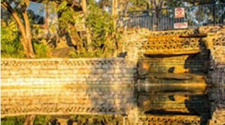 Lodge at the Ancient City