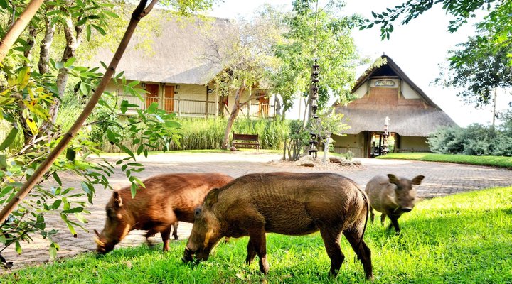 Victoria Falls Safari Club