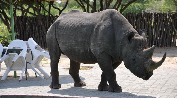 Khama Rhino Sanctuary