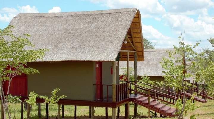 Lion Roars Lodge