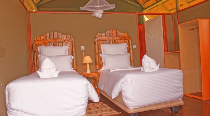 Lion Roars Lodge