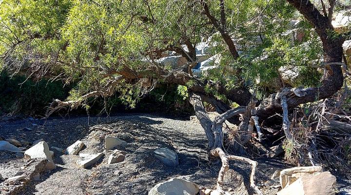 Skoorsteenberg Farm Camping and Accommodation