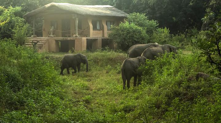 Track and Trail River Camp