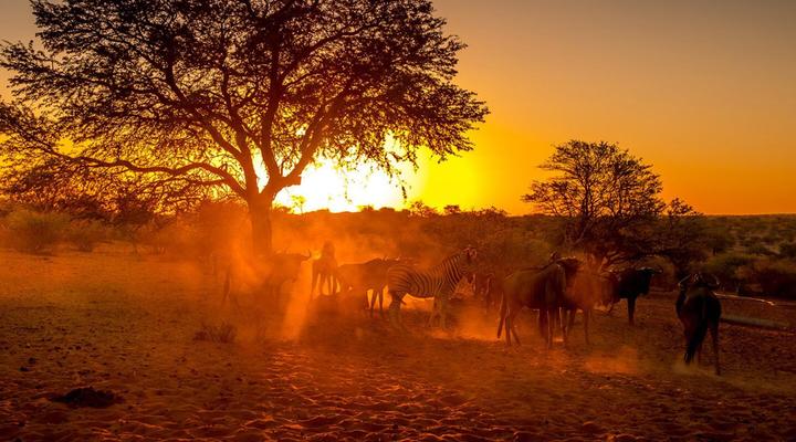 Bagatelle Kalahari Game Ranch